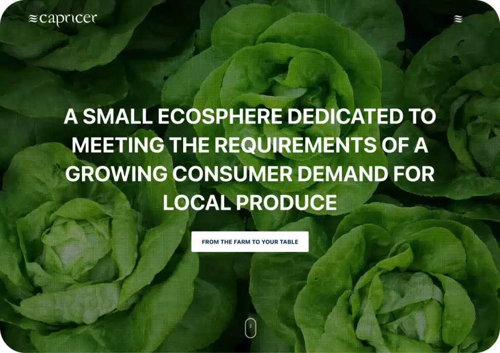 capricer webpage